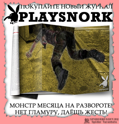 PLAYSNORK ( ,  !) /       STALKER PLAYBOY        
